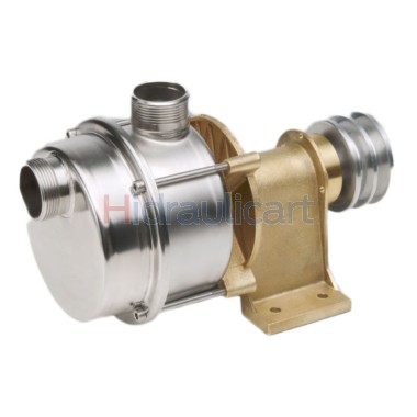 Tellarini Stainless Steel Shaft End Transfer Pump