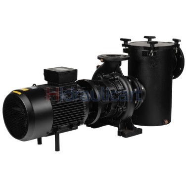 ARAL PLUS C-1500 Swimming Pool Pump