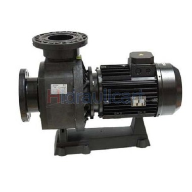 Hayward HCP 1100 pool pump