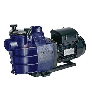 Hayward StarPump Pool Pump