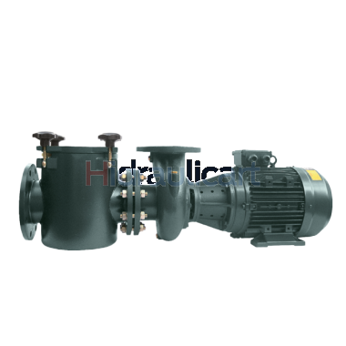PSH FDN-3000 Swimming Pool Pump
