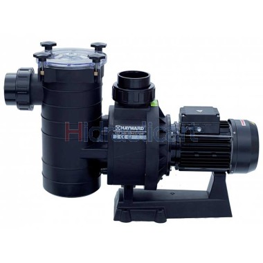 HAYWARD HCP 3800 Pool Pump