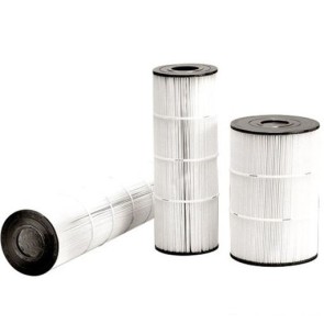 SwimClear filter cartridge