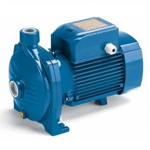 Pedrollo CP170 Surface Water Pump