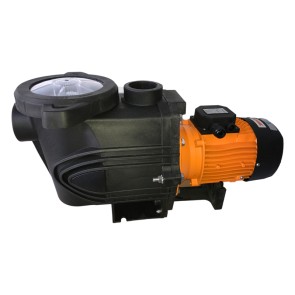 2" BlueZone Pool Pumps