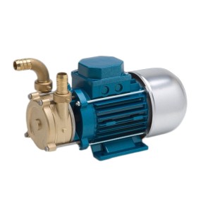 Tellarini ECC 12Vdc 24Vdc Transfer Pump