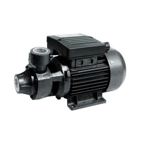 Baico PR Peripheral Water Pump