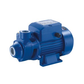 QB Peripheral Water Pump up to 3.0 m3/h