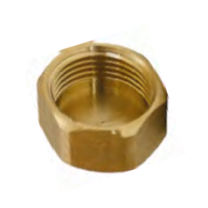 Female Brass Plug