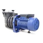 Bravia Pool Pump