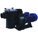 Hayward Neopump Pool Pump