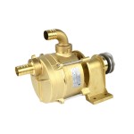 Tellarini Brass Shaft End Transfer Pump