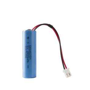 Blue Connect - Batterie bleue