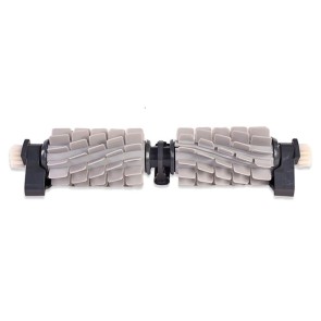 Brosse active complète Dolphin 9995547-ASSY