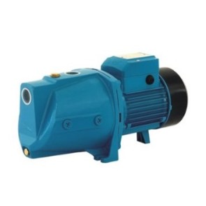 Pompe à eau TERMAR XJWm 1,50CV jusqu'à 3,0 m3/h
