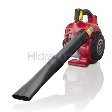 Soffiatore Honda HHB 25